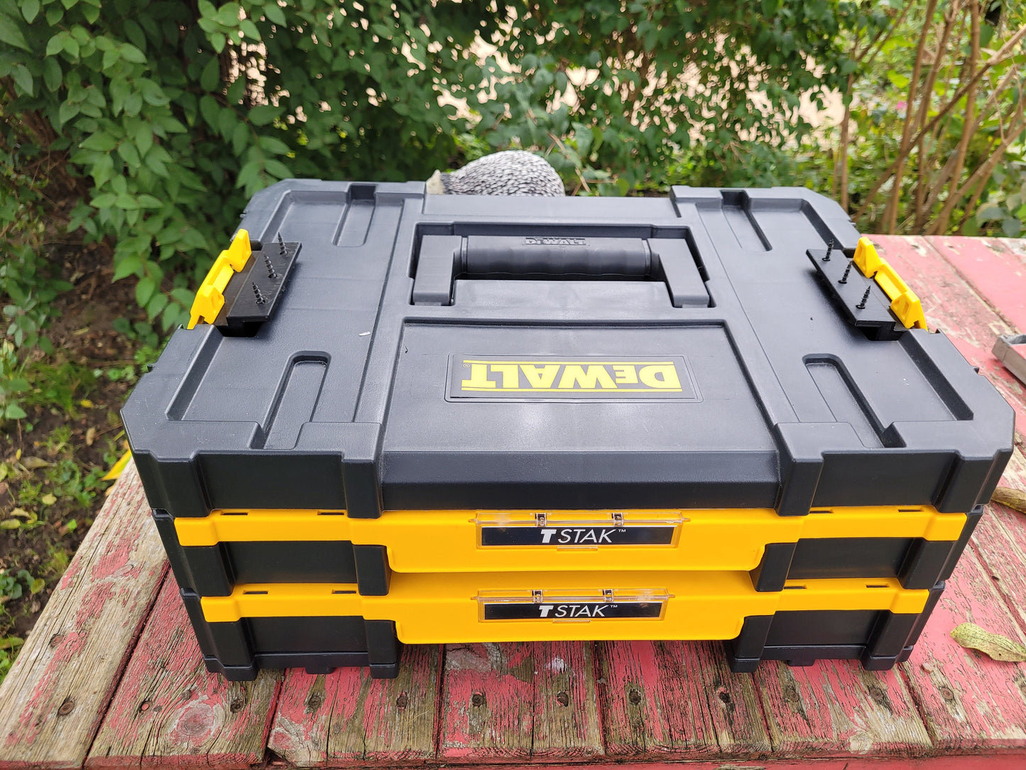 Clippable DeWalt tstak tabletop mount